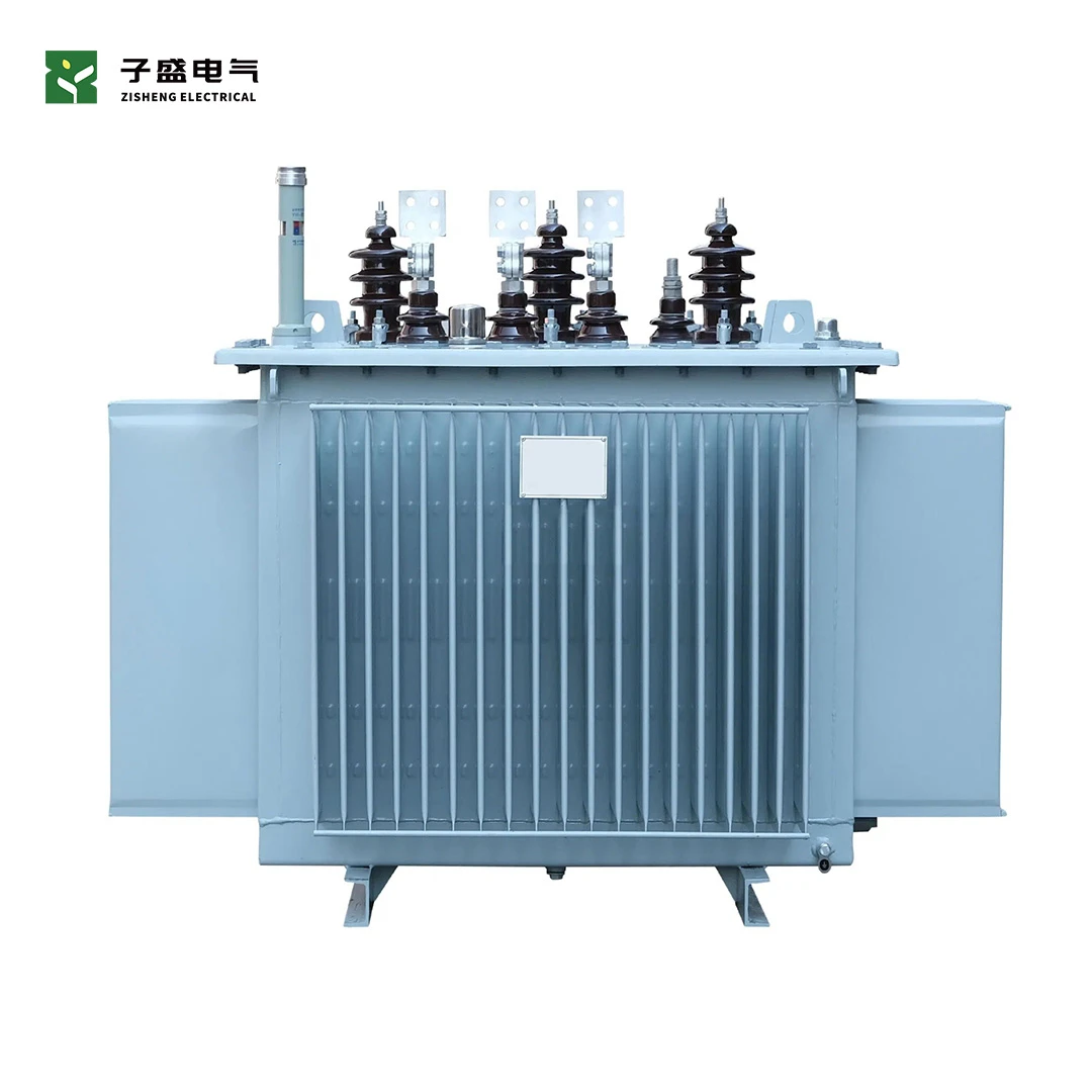 10 kV Class Three Phase Distribution Oil Immersed Transformer