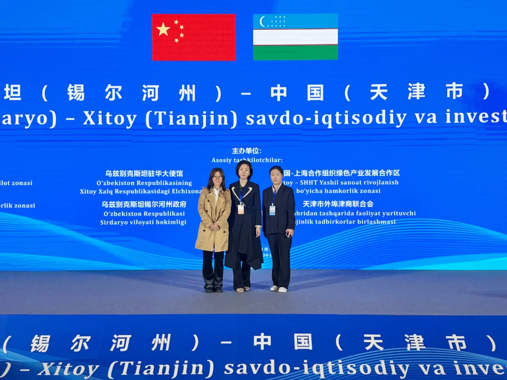 Zisheng Oil Transformer