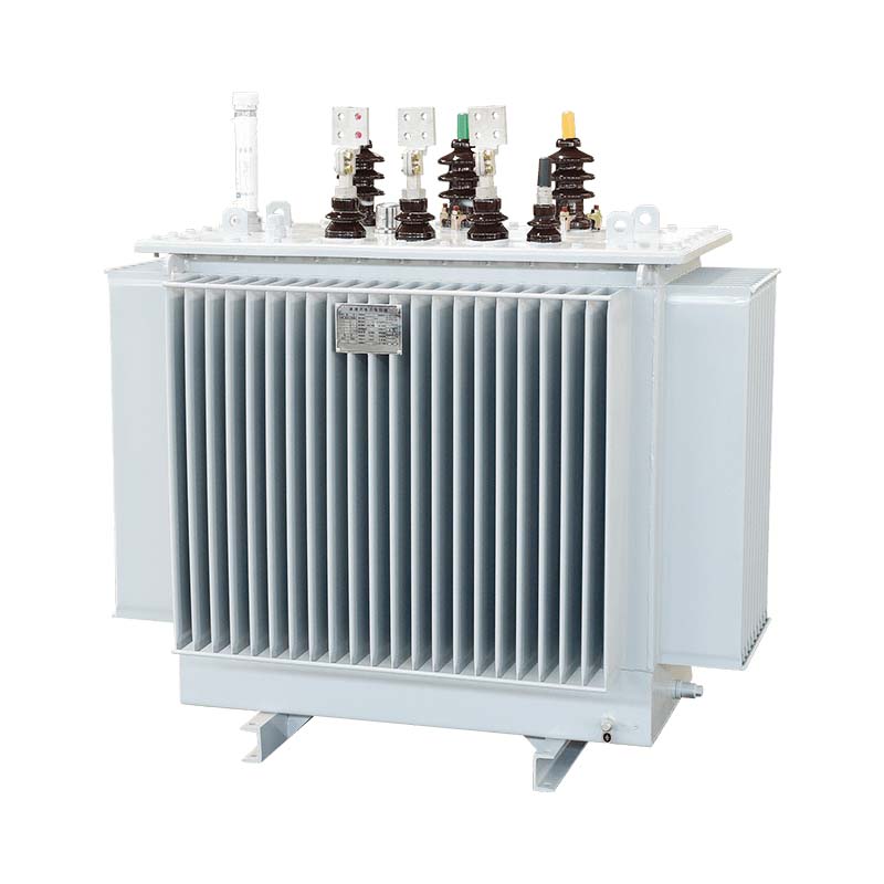 Oil immersed transformer