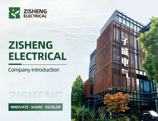 ZISHENG Factory