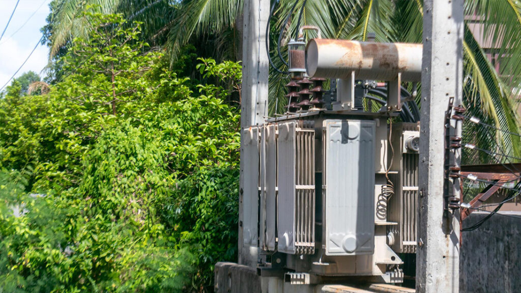 Analysis of the 300 kVA and 1000 kVA Distribution Transformer Project in Tropical Coastal Suriname 8 2热带沿海地区的变压器